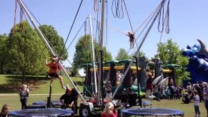 bungee termp