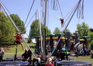 bungee termp 450x320