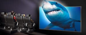 shark screen 1100x460c