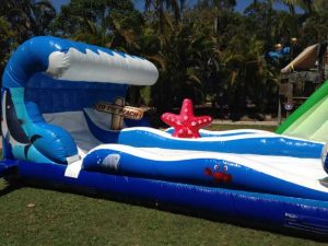 surf the wave 2001