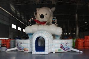 Arctic Plunge