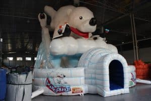 Arctic Plunge 4
