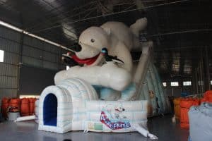 arctic plunge1