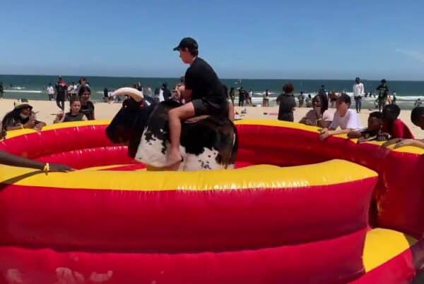 Bucking bull 1 rotated